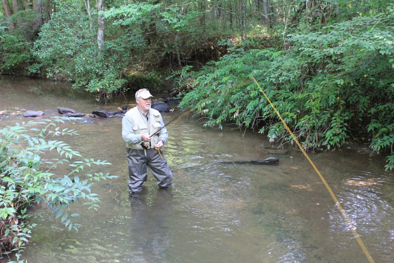 Trout Fishing in America - Lake Lure Cottage KitchenLake Lure Cottage  Kitchen