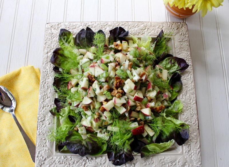 Waldorf Salad with Fennel and Candied Walnuts