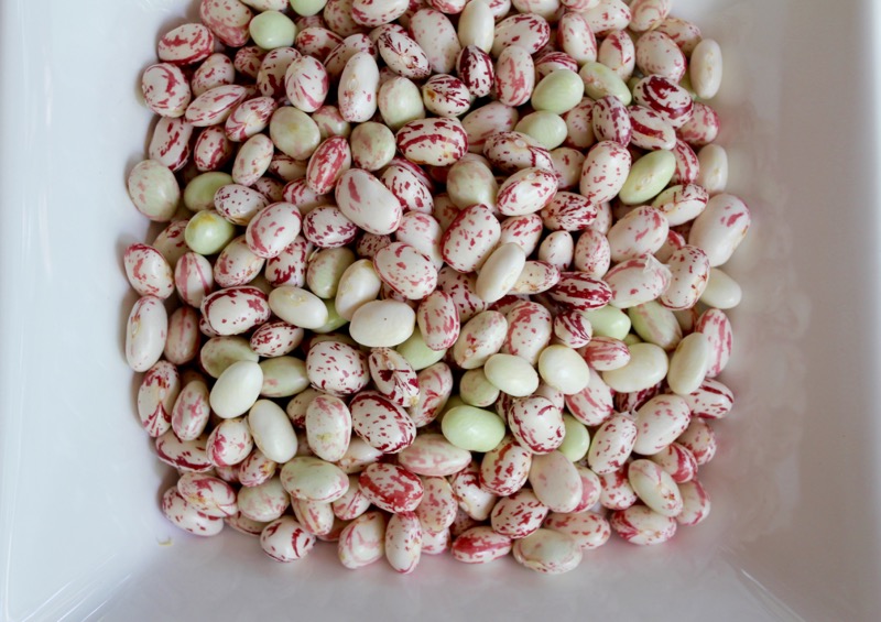 October Beans